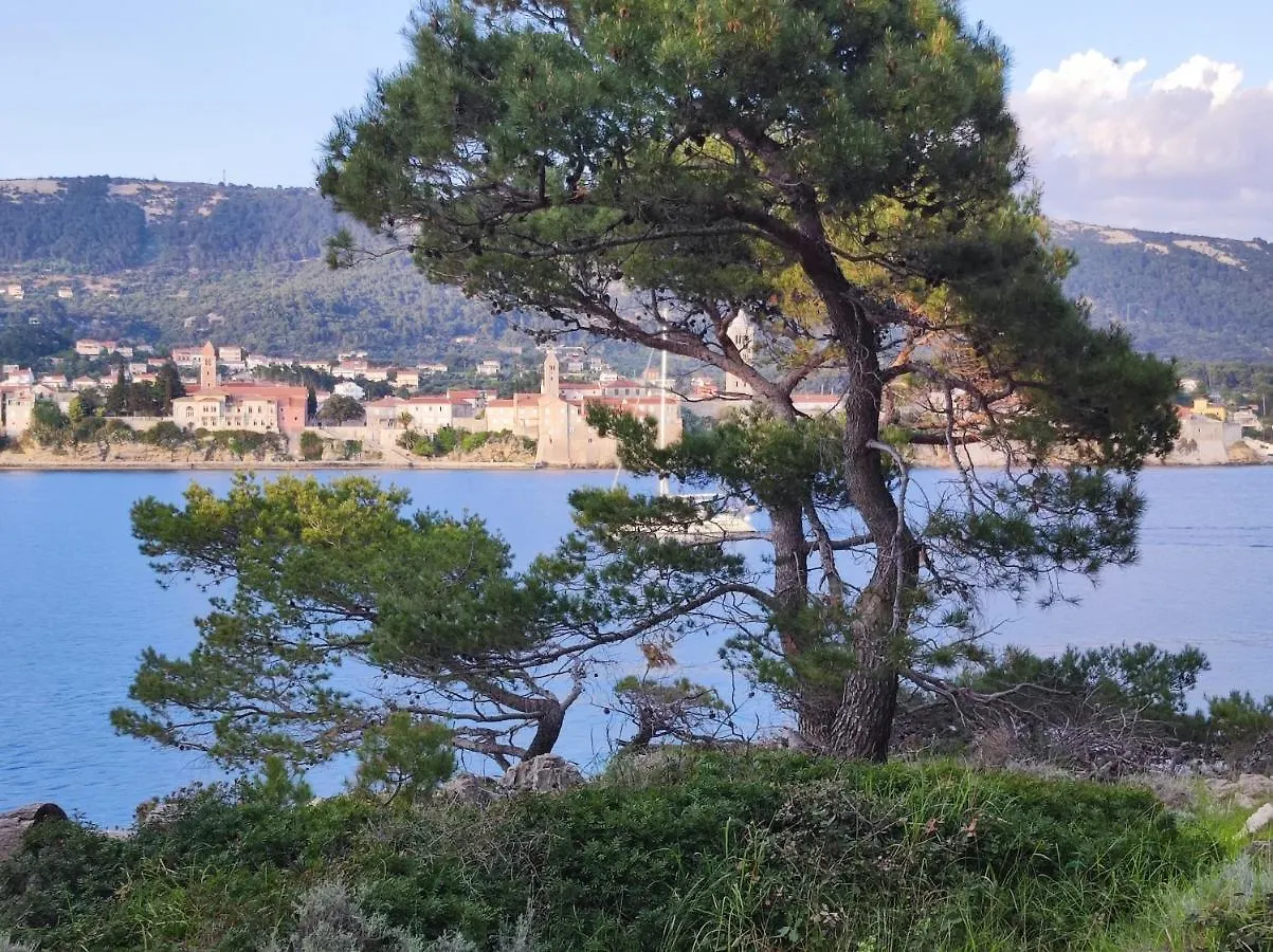Apartments Opsenica Barbat Croatia
